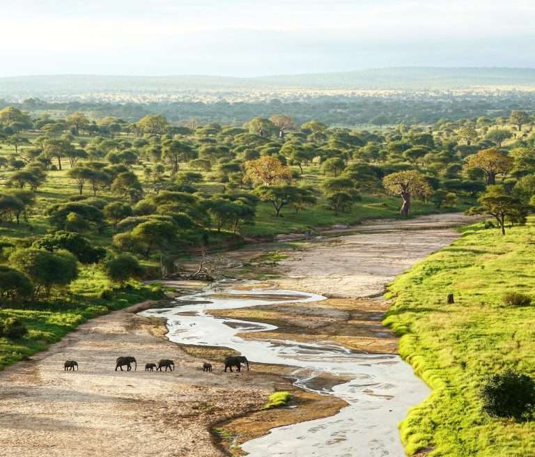 tarangire national park
