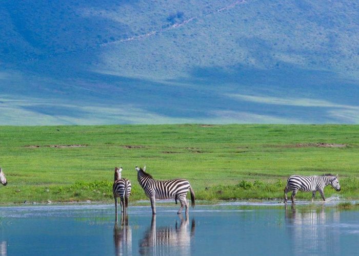 Ngorongoro holiday 3