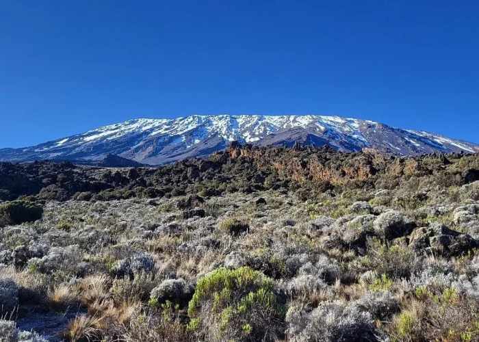 machame kilimanjaro